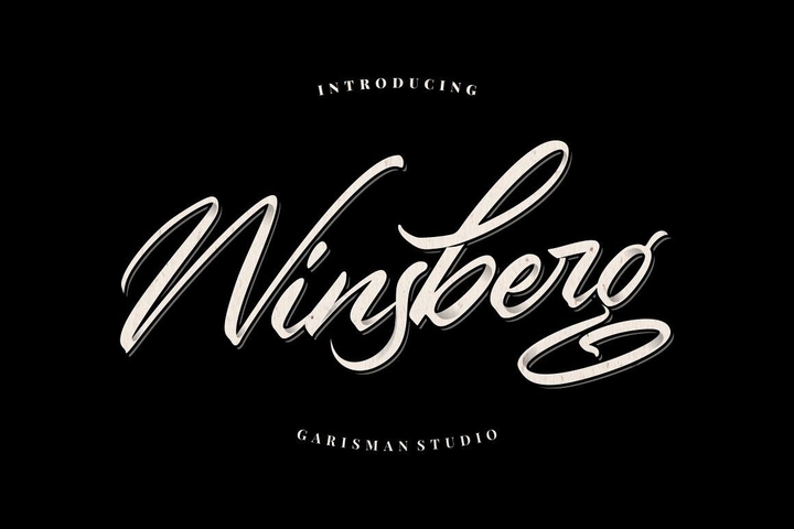 Пример шрифта Winsberg #1